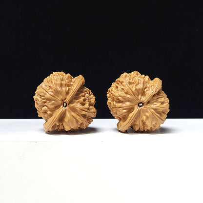 The "Golden Bull Official's Hat" Jin Niu Guan Mao Collector Pair | AA-Grade Masterpiece Tier | 38.0mm x 37.0mm | GM-AA-015641