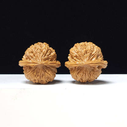 The "Golden Bull Official's Hat" Jin Niu Guan Mao Collector Pair | AA-Grade Masterpiece Tier | 38.0mm x 37.0mm | GM-AA-015641