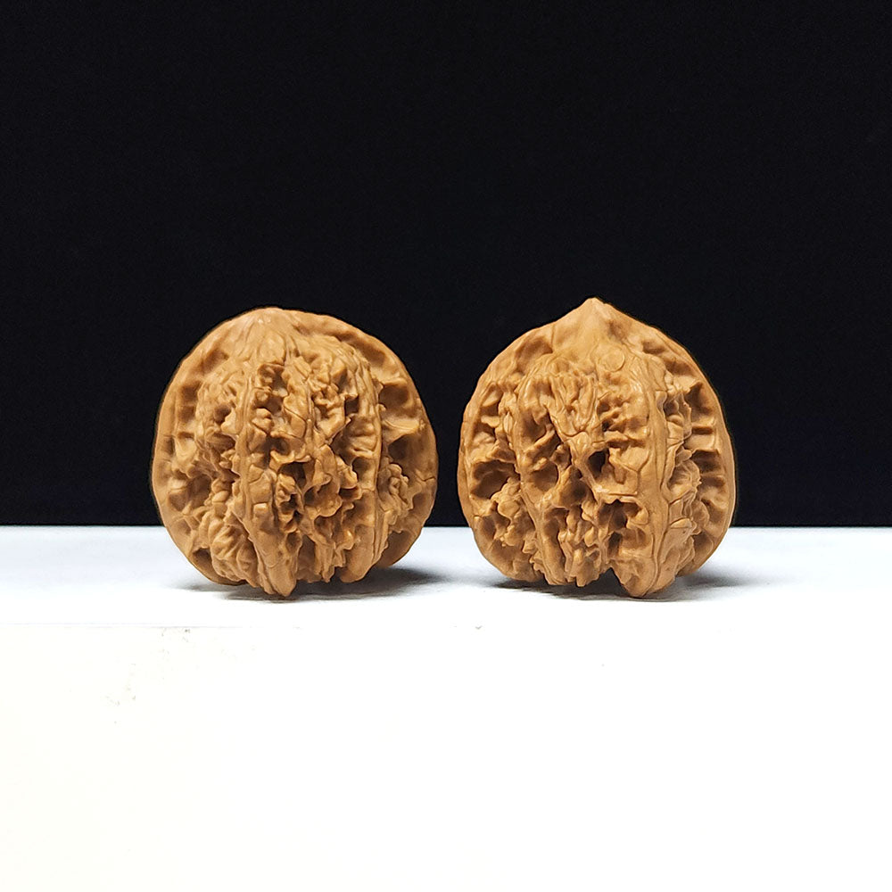 The "Ancient Toad x Caterpillar" Collector Pair | A-Grade Collector Tier | 36.0mm x 36.0mm | SZ-A-061645