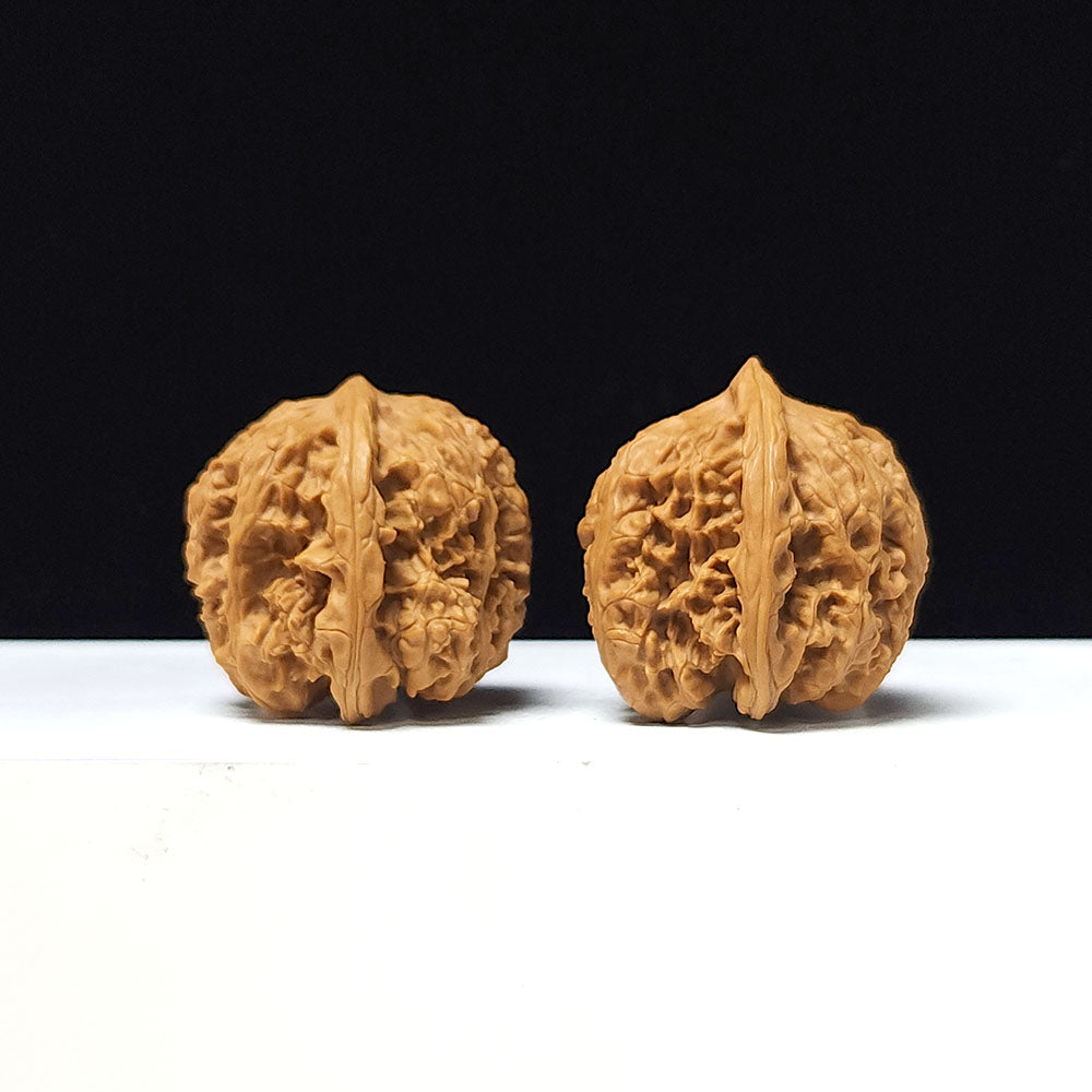 The "Ancient Toad x Caterpillar" Collector Pair | A-Grade Collector Tier | 36.0mm x 36.0mm | SZ-A-061645
