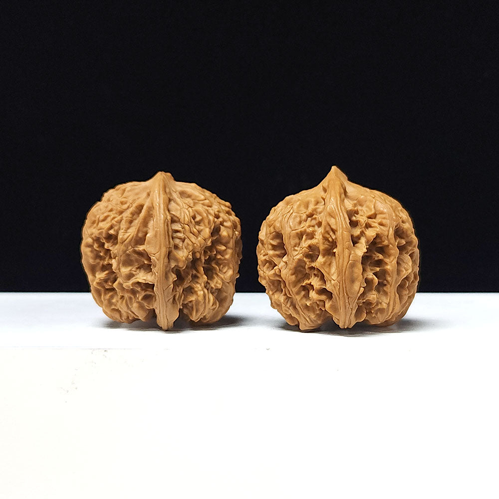 The "Ancient Toad x Caterpillar" Collector Pair | A-Grade Collector Tier | 36.0mm x 36.0mm | SZ-A-061645