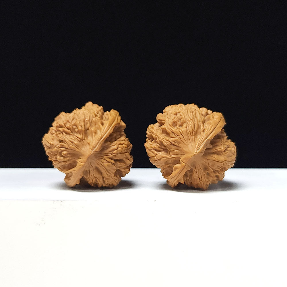 The "Ancient Toad x Caterpillar" Collector Pair | A-Grade Collector Tier | 36.0mm x 36.0mm | SZ-A-061645