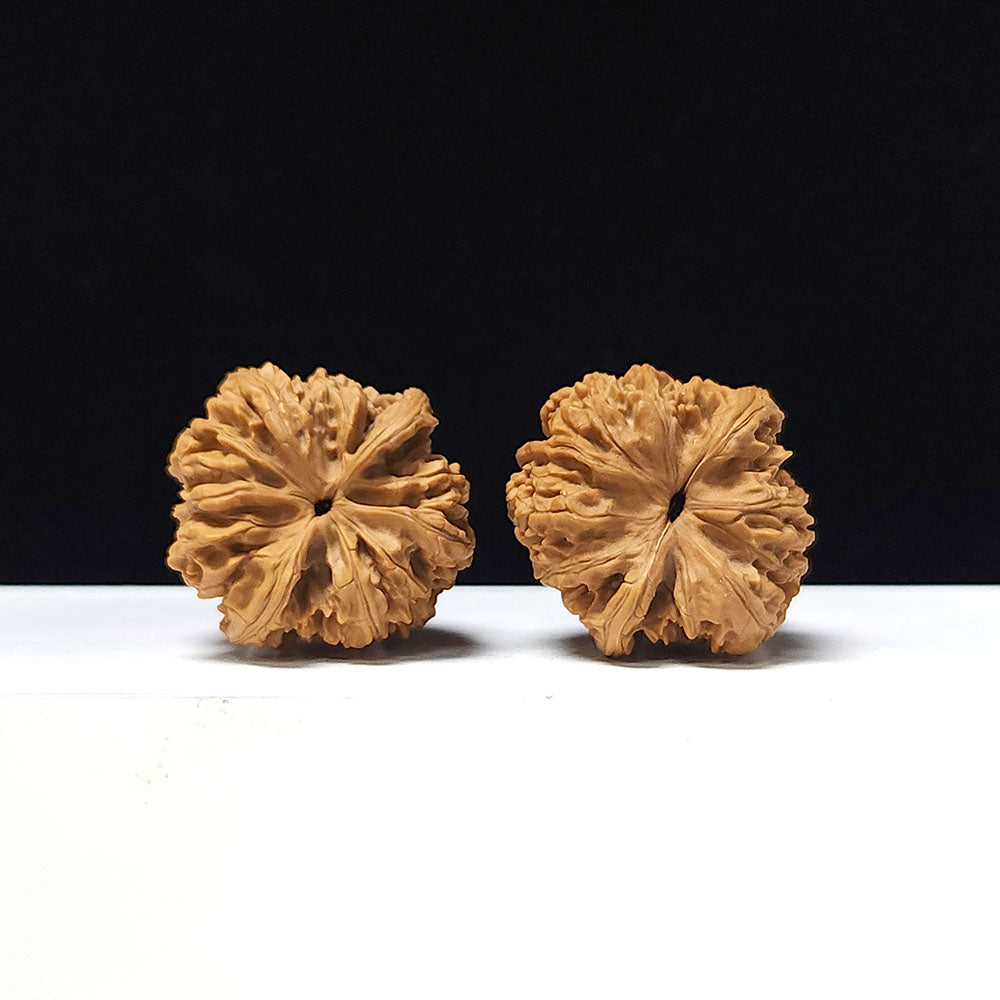 The "Ancient Toad x Caterpillar" Collector Pair | A-Grade Collector Tier | 36.0mm x 36.0mm | SZ-A-061645
