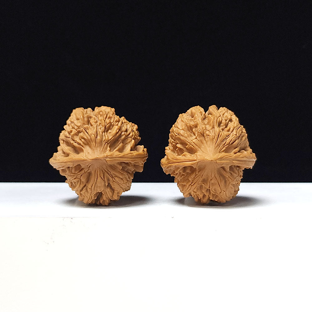 The "Ancient Toad x Caterpillar" Collector Pair | A-Grade Collector Tier | 36.0mm x 36.0mm | SZ-A-061645