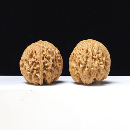 The "Blizzard" Collector Pair | A-Grade Collector Tier | 40.0mm x 41.0mm | BX-A-004643