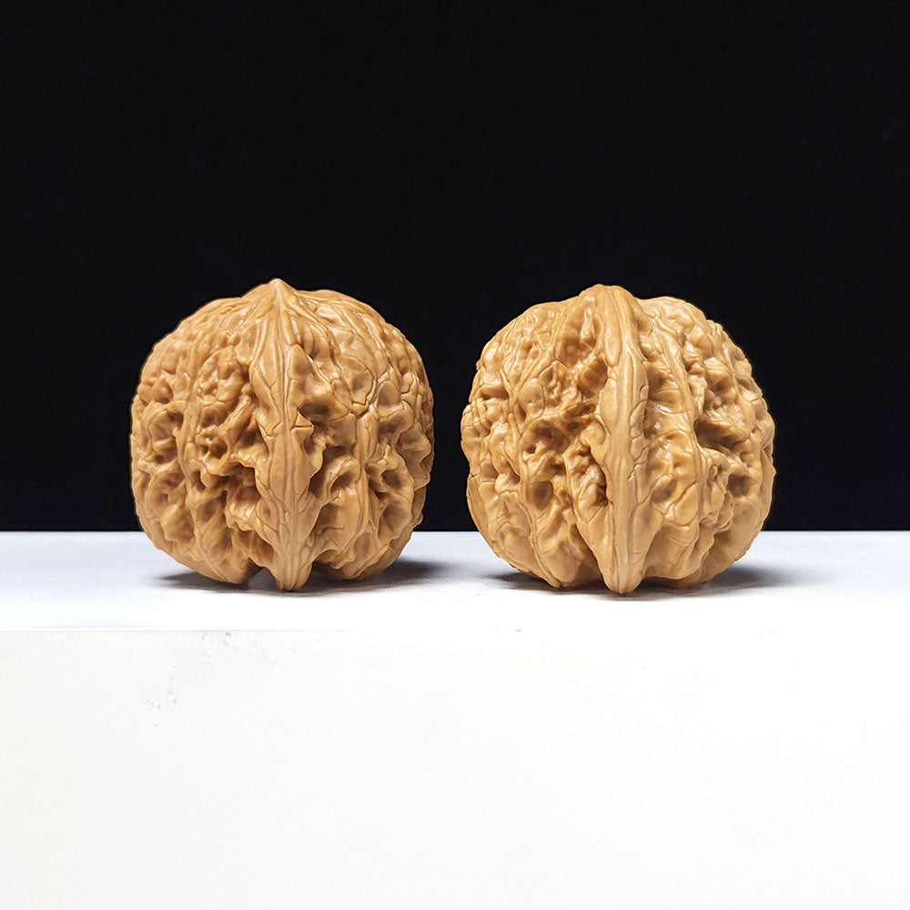 The "Blizzard" Collector Pair | A-Grade Collector Tier | 40.0mm x 41.0mm | BX-A-004643