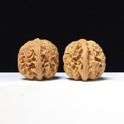 The "Blizzard" Collector Pair | A-Grade Collector Tier | 40.0mm x 41.0mm | BX-A-004643