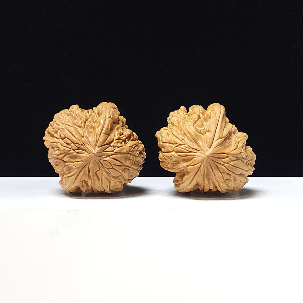 The "Blizzard" Collector Pair | A-Grade Collector Tier | 40.0mm x 41.0mm | BX-A-004643