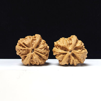 The "Blizzard" Collector Pair | A-Grade Collector Tier | 40.0mm x 41.0mm | BX-A-004643