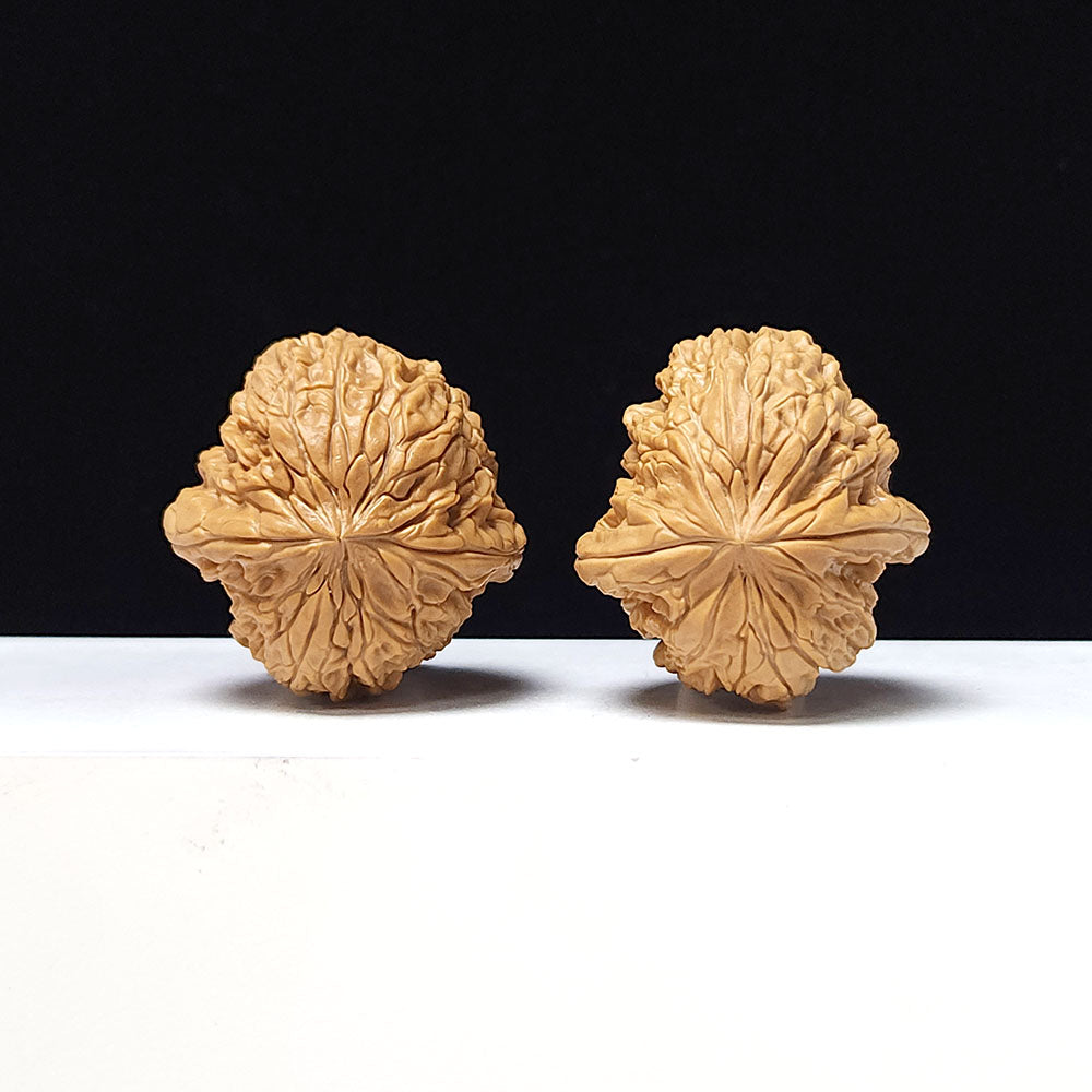 The "Blizzard" Collector Pair | A-Grade Collector Tier | 40.0mm x 41.0mm | BX-A-004643