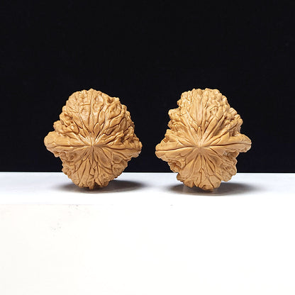 The "Blizzard" Collector Pair | A-Grade Collector Tier | 40.0mm x 41.0mm | BX-A-004643