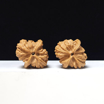 The "Crimson Dragon Chicken Heart" Collector Pair | A-Grade Collector Tier | 35.0mm x 40.0mm | JX-A-006648