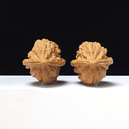The "Crimson Dragon Chicken Heart" Collector Pair | A-Grade Collector Tier | 35.0mm x 40.0mm | JX-A-006648