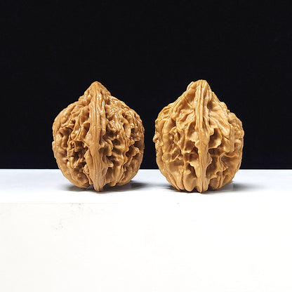 The "Tong Tian Ba" Collector Pair | A-Grade Collector Tier | 37.0mm x 35.0mm | TTB-A-006644