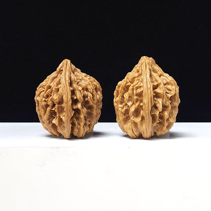 The "Tong Tian Ba" Collector Pair | A-Grade Collector Tier | 37.0mm x 35.0mm | TTB-A-006644