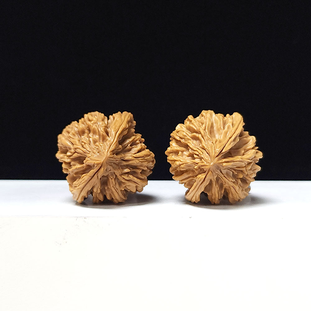The "Tong Tian Ba" Collector Pair | A-Grade Collector Tier | 37.0mm x 35.0mm | TTB-A-006644