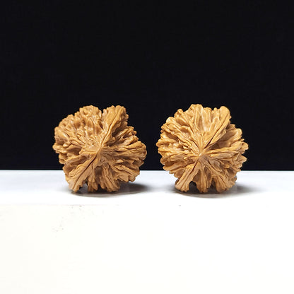 The "Tong Tian Ba" Collector Pair | A-Grade Collector Tier | 37.0mm x 35.0mm | TTB-A-006644