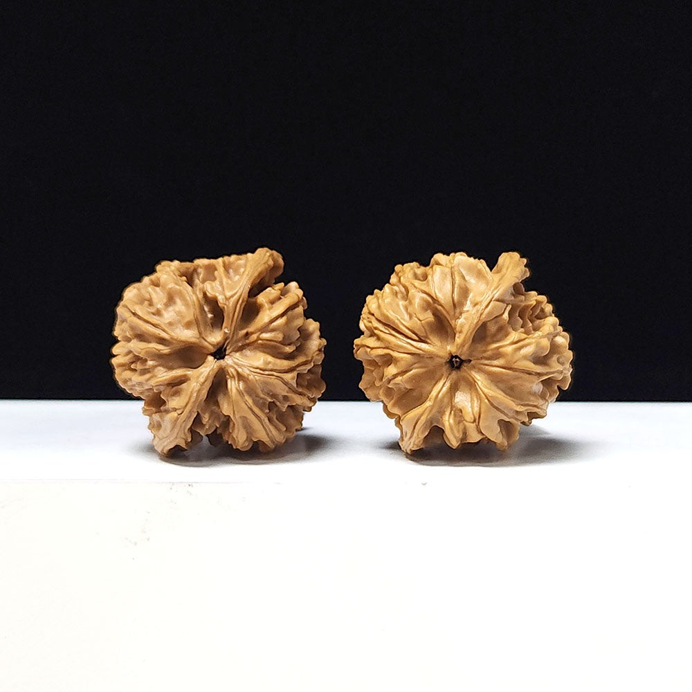 The "Tong Tian Ba" Collector Pair | A-Grade Collector Tier | 37.0mm x 35.0mm | TTB-A-006644