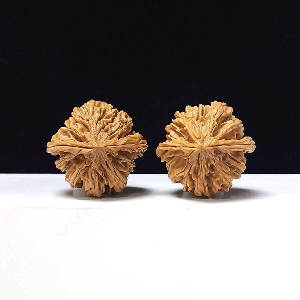 The "Tong Tian Ba" Collector Pair | A-Grade Collector Tier | 37.0mm x 35.0mm | TTB-A-006644