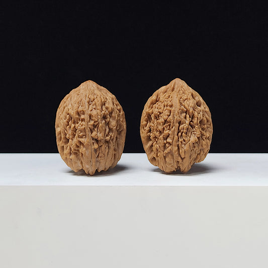 The "Auspicious Garlic" (Garlic-Head Lion's Head) A-Grade Wide Pair | 33.0mm (Length) x 37.0mm (Width) | SZ-A-013145