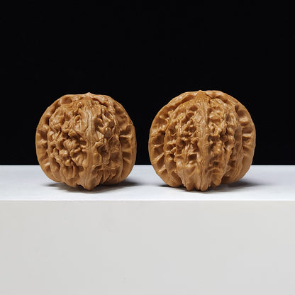 "White Lion Head" Bai Shou Lion Head Classic Squat Flat-Base Wenwan Walnuts Pair | 40.0mm x 39.0mm | BSZ-A-002010