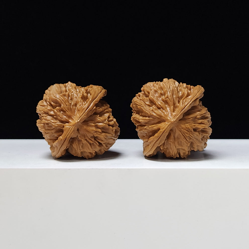 "White Lion Head" Bai Shou Lion Head Classic Squat Flat-Base Wenwan Walnuts Pair | 40.0mm x 39.0mm | BSZ-A-002010