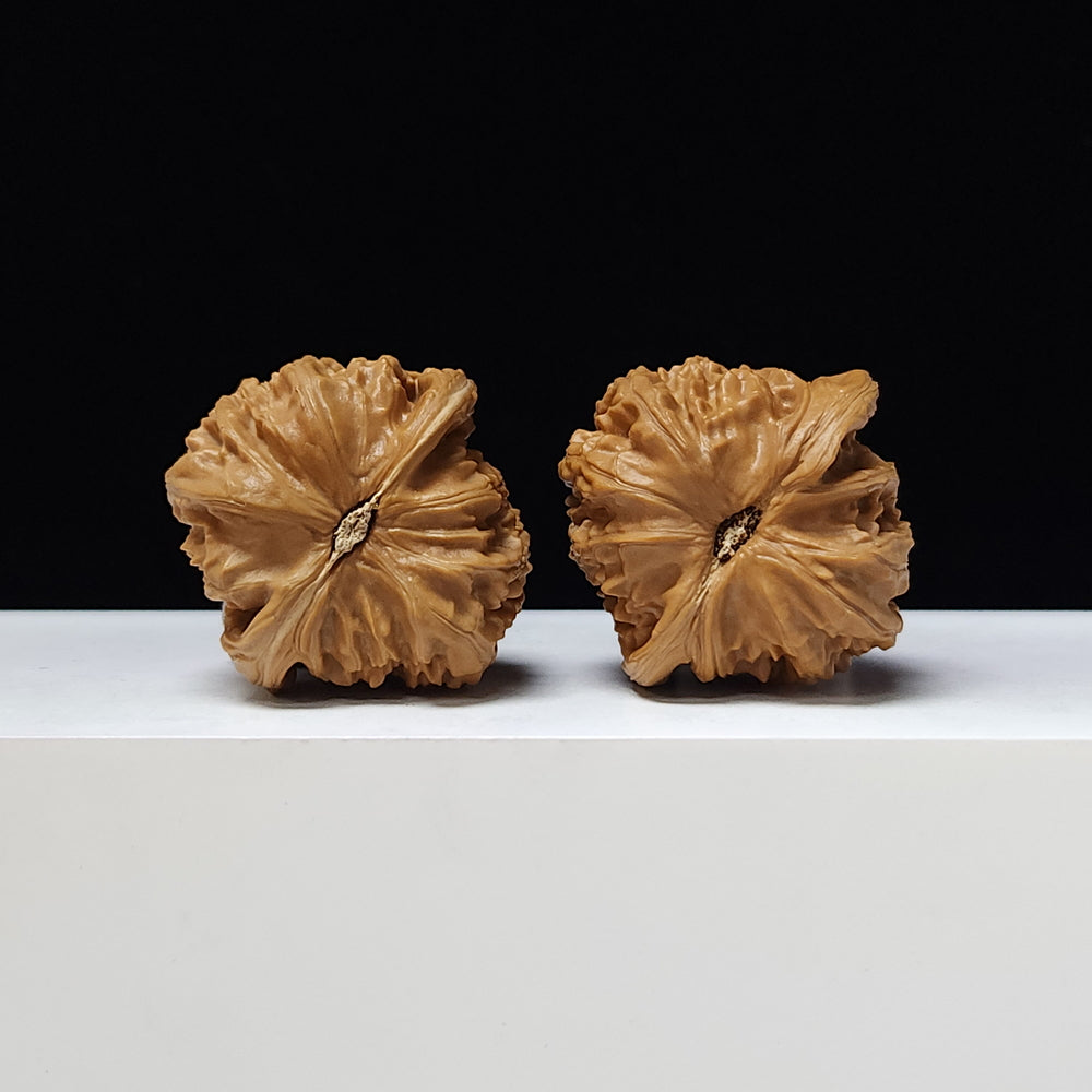"White Lion Head" Bai Shou Lion Head Classic Squat Flat-Base Wenwan Walnuts Pair | 40.0mm x 39.0mm | BSZ-A-002010