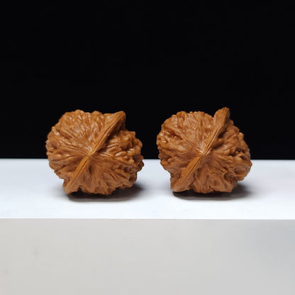 The "Porcelain Doll" (Ci Wa Wa) Premium Symmetrical Collector's Pair | 37.0mm x 36.0mm | GM-S-008468