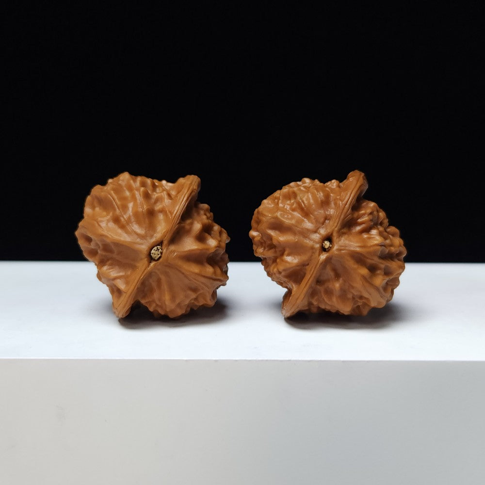 The "Porcelain Doll" (Ci Wa Wa) Premium Symmetrical Collector's Pair | 37.0mm x 36.0mm | GM-S-008468