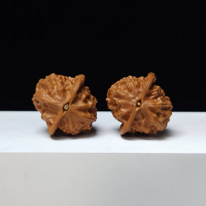 The "Porcelain Doll" (Ci Wa Wa) Premium Symmetrical Collector's Pair | 37.0mm x 36.0mm | GM-S-008468
