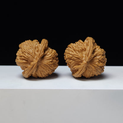 The "White Lion" (Bai Shi Zi) Imperial Symmetrical Masterpiece Pair | 41.0mm x 41.0mm | BSZ-S-008441
