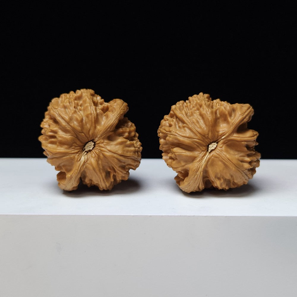 The "White Lion" (Bai Shi Zi) Imperial Symmetrical Masterpiece Pair | 41.0mm x 41.0mm | BSZ-S-008441