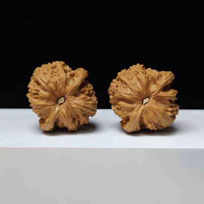 The "White Lion" (Bai Shi Zi) Imperial Symmetrical Masterpiece Pair | 41.0mm x 41.0mm | BSZ-S-008441