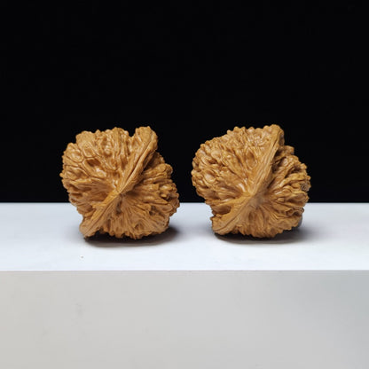 The "Triangle White Lion" (San Jiao Bai Shi Zi) Rare 3-Ridge Premium Symmetrical Pair | 41.0mm x 41.0mm | BSZ-S-010467