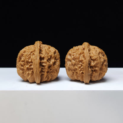 The "Spherical Round" Bai Shi Zi Lion's Head Pair | S-Grade Collector Tier | 41.0mm x 40.0mm | BSZ-S-007376