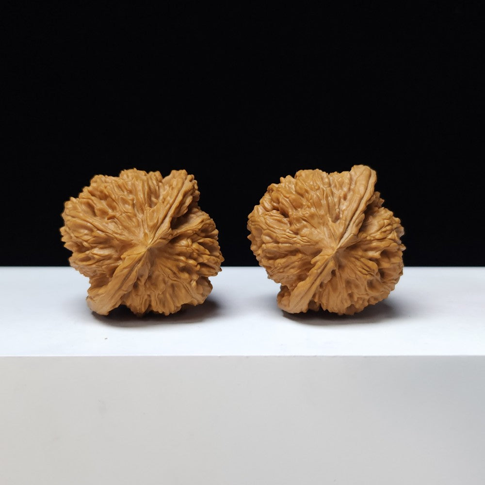 The "Spherical Round" Bai Shi Zi Lion's Head Pair | S-Grade Collector Tier | 41.0mm x 40.0mm | BSZ-S-007376