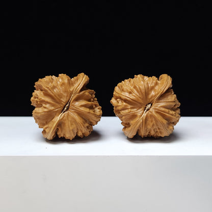 The "Spherical Round" Bai Shi Zi Lion's Head Pair | S-Grade Collector Tier | 41.0mm x 40.0mm | BSZ-S-007376