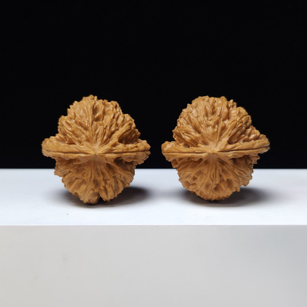 The "Spherical Round" Bai Shi Zi Lion's Head Pair | S-Grade Collector Tier | 41.0mm x 40.0mm | BSZ-S-007376