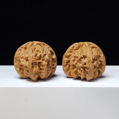 The "White Lion" (Bai Shi Zi) Premium Symmetrical Collector's Pair | 43.0mm x 42.0mm | BSZ-S-009461