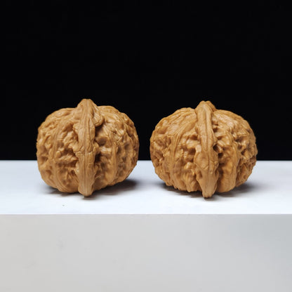 The "White Lion" (Bai Shi Zi) Premium Symmetrical Collector's Pair | 43.0mm x 42.0mm | BSZ-S-009461