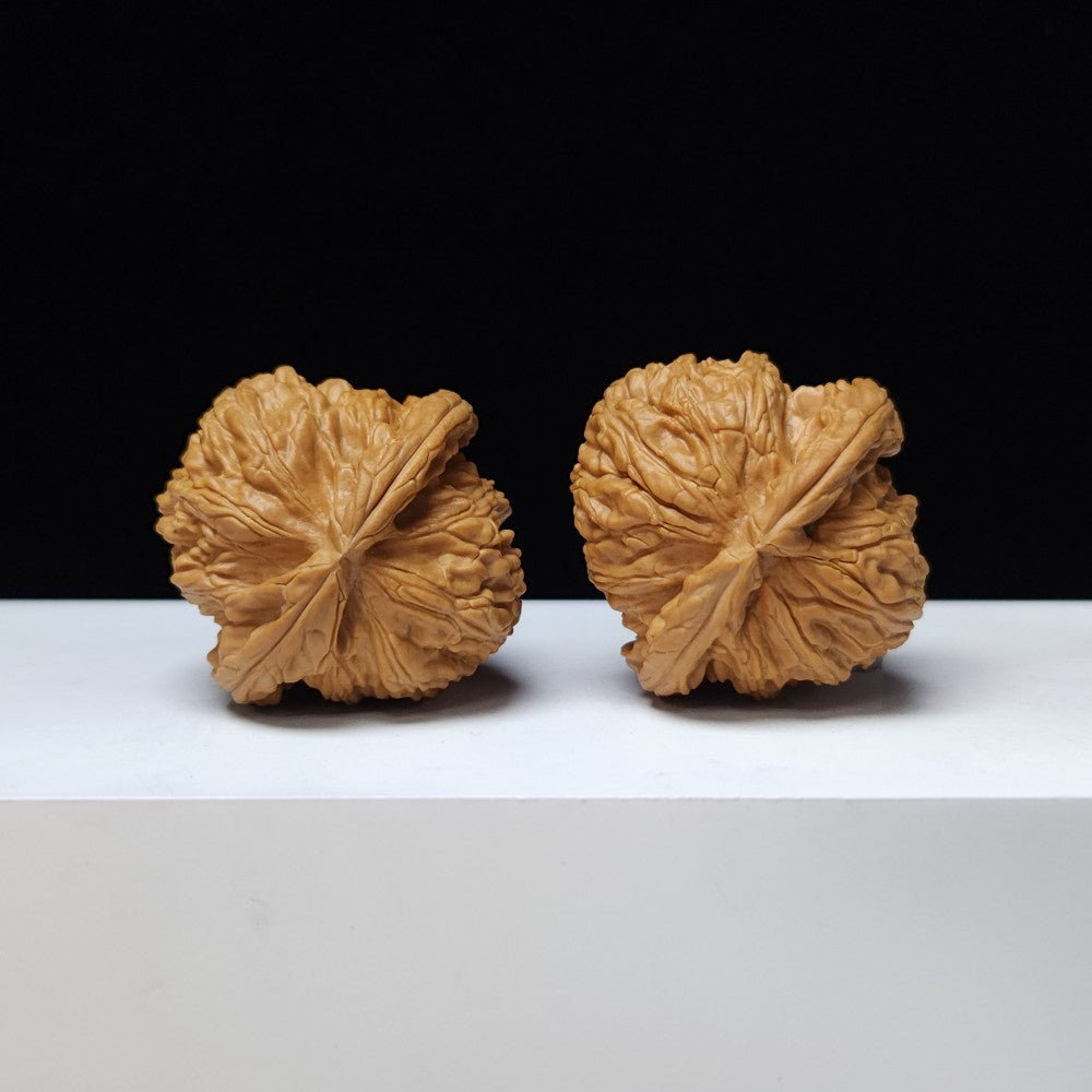 The "White Lion" (Bai Shi Zi) Premium Symmetrical Collector's Pair | 43.0mm x 42.0mm | BSZ-S-009461