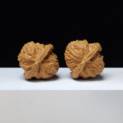 The "White Lion" (Bai Shi Zi) Premium Symmetrical Collector's Pair | 43.0mm x 42.0mm | BSZ-S-009461