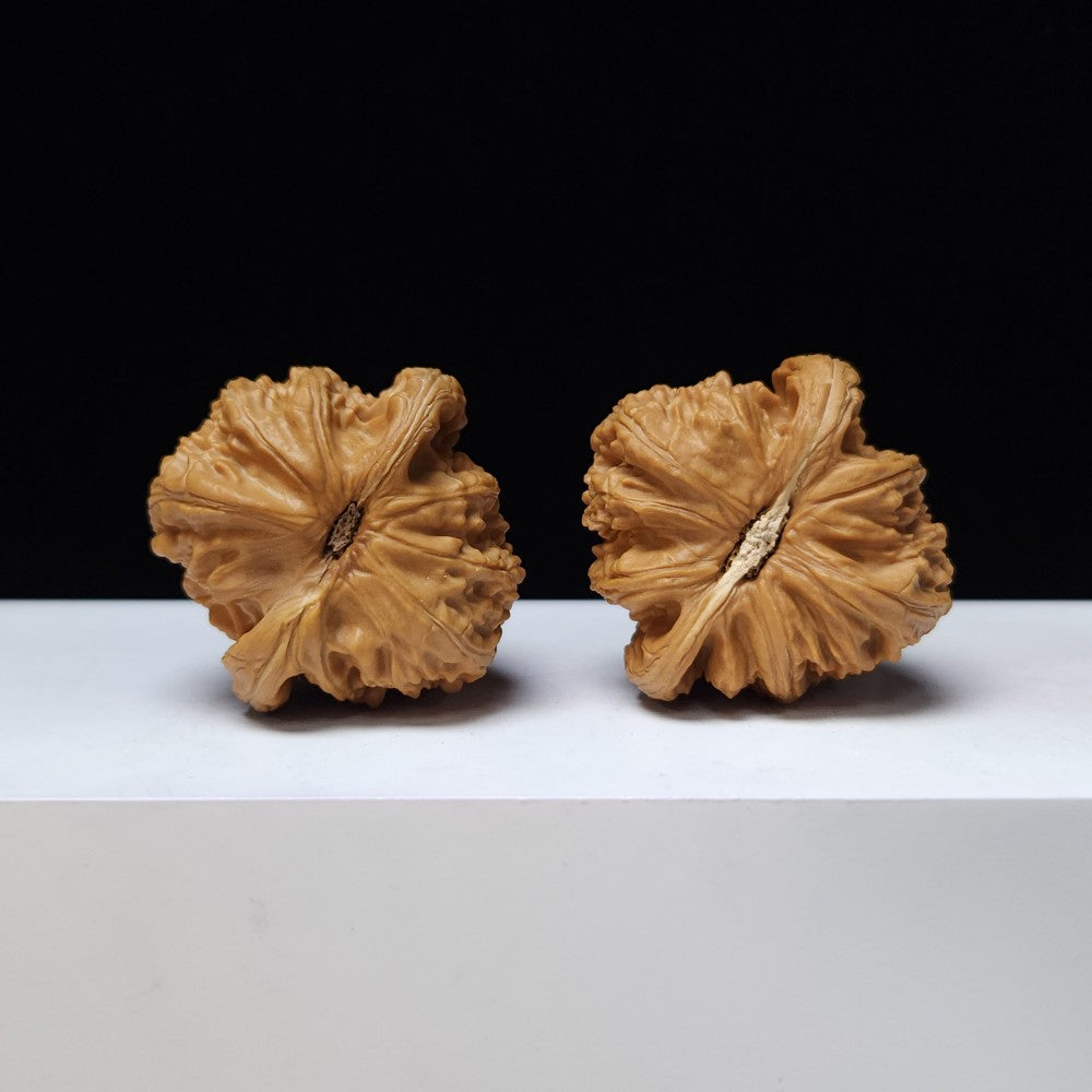 The "White Lion" (Bai Shi Zi) Premium Symmetrical Collector's Pair | 43.0mm x 42.0mm | BSZ-S-009461