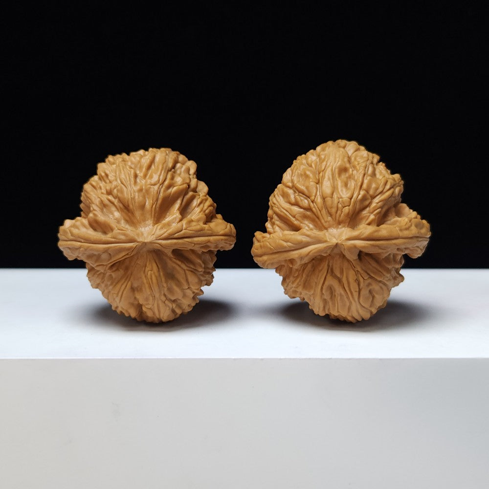 The "White Lion" (Bai Shi Zi) Premium Symmetrical Collector's Pair | 43.0mm x 42.0mm | BSZ-S-009461