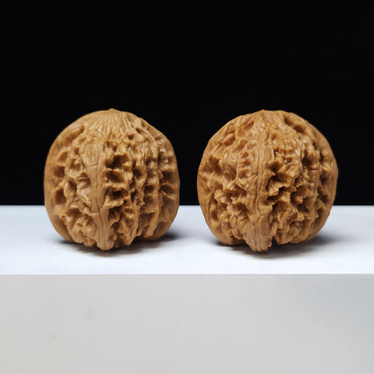 The "Bai Shou Concave Base" Bai Shou Ao Di Lion's Head Pair | S-Grade Collector Tier | 43.0mm x 43.0mm | SZ-S-021358