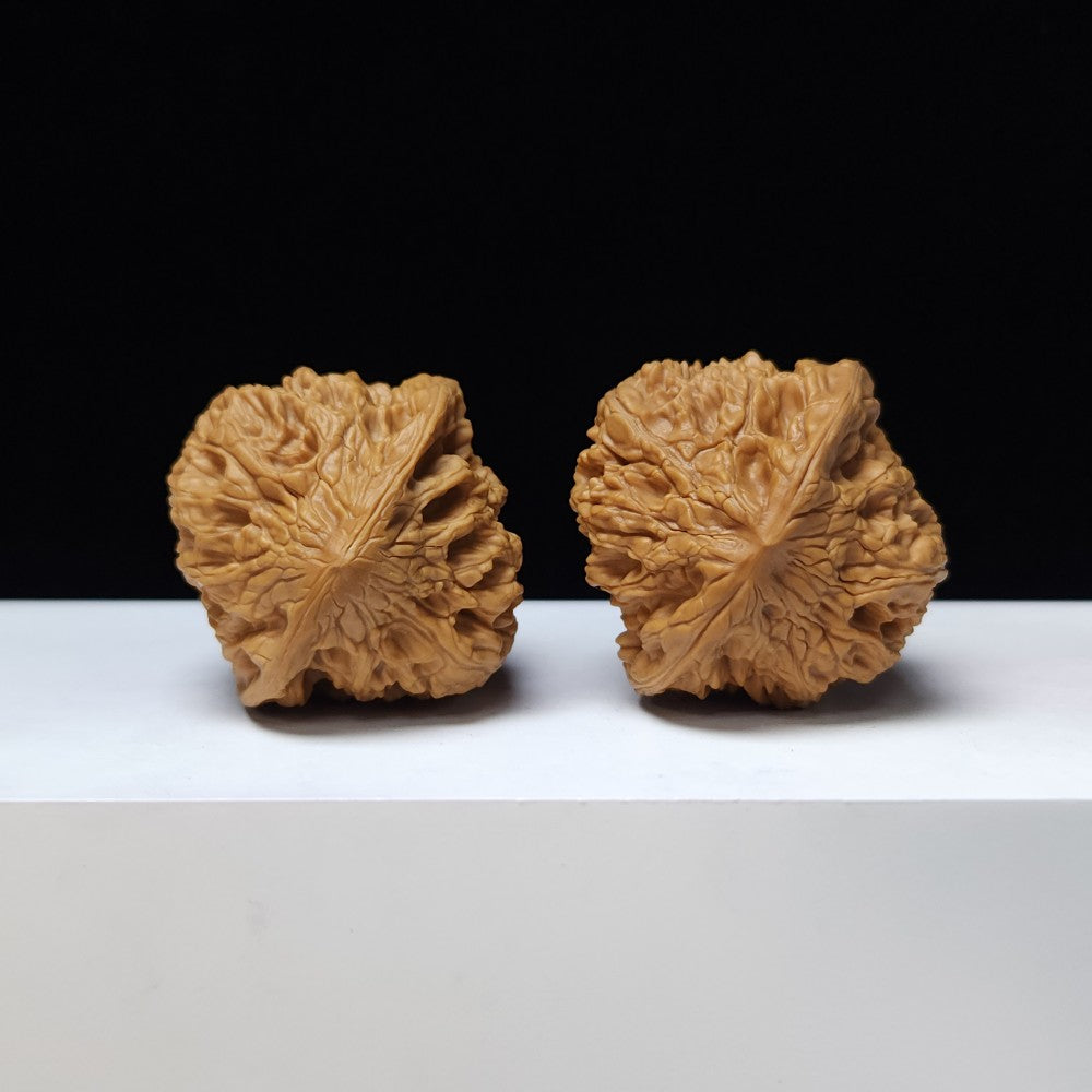 The "Bai Shou Concave Base" Bai Shou Ao Di Lion's Head Pair | S-Grade Collector Tier | 43.0mm x 43.0mm | SZ-S-021358