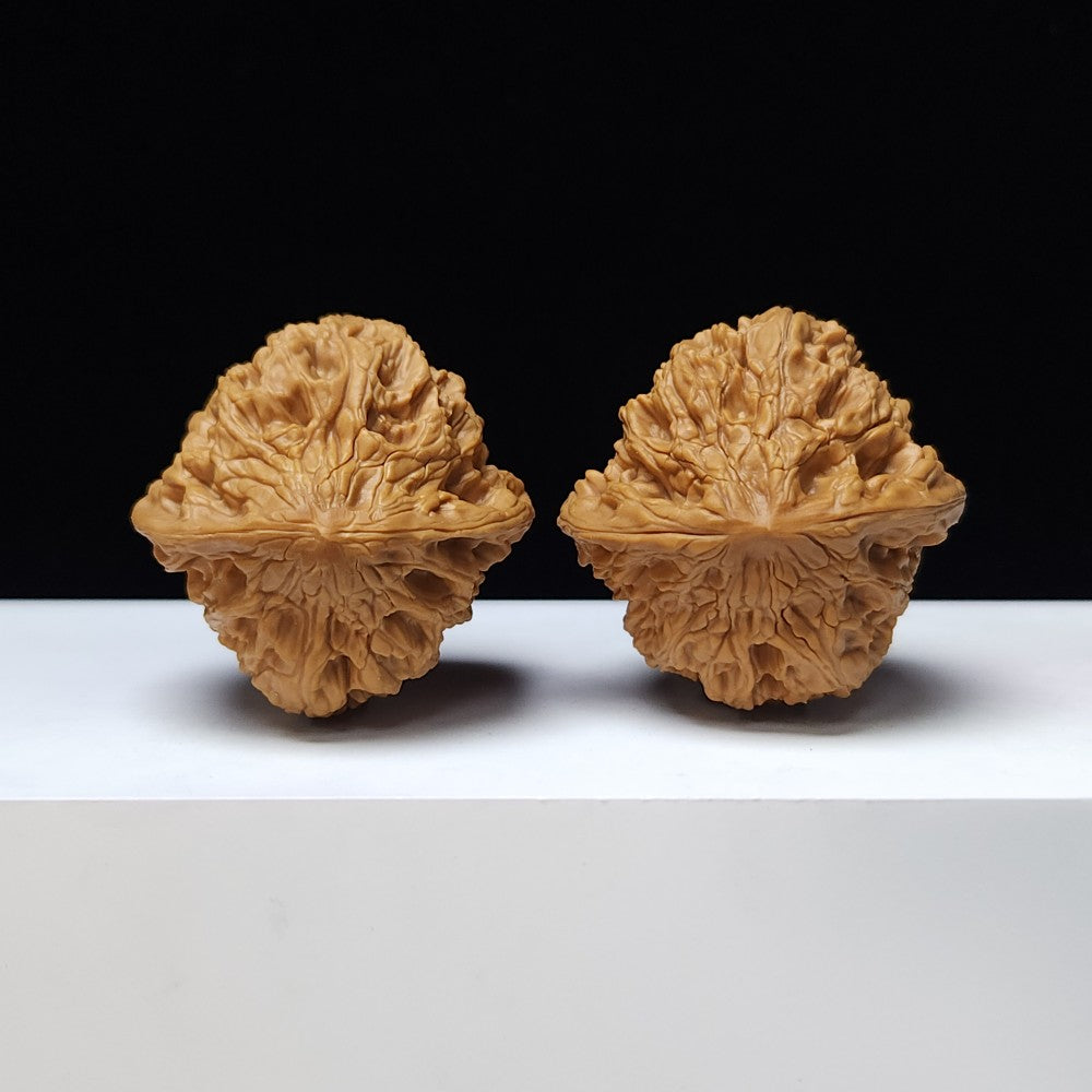 The "Bai Shou Concave Base" Bai Shou Ao Di Lion's Head Pair | S-Grade Collector Tier | 43.0mm x 43.0mm | SZ-S-021358