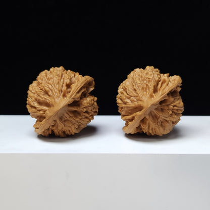 The "Kylin Texture Lion Head" (Qi Lin Wen) Premium Exhibition-Grade Symmetrical Pair | 45.0mm x 41.0mm | SZ-S-026442