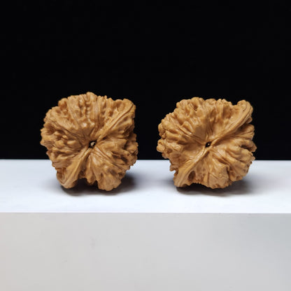 The "Kylin Texture Lion Head" (Qi Lin Wen) Premium Exhibition-Grade Symmetrical Pair | 45.0mm x 41.0mm | SZ-S-026442