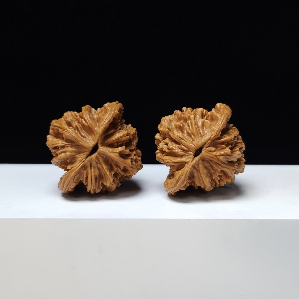 The "Wheat Grain Tiger's Head" Mai Sui Hu Tou Collector Pair | S-Grade Investment Tier | 42.0mm x 40.0mm | HT-S-001350